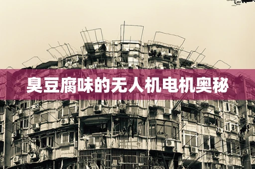 臭豆腐味的无人机电机奥秘