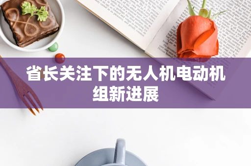 省长关注下的无人机电动机组新进展