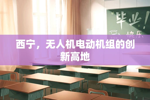 西宁，无人机电动机组的创新高地