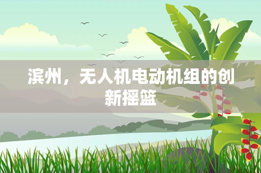 滨州，无人机电动机组的创新摇篮