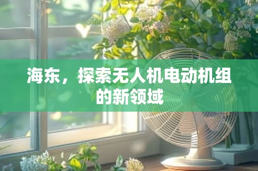 海东，探索无人机电动机组的新领域