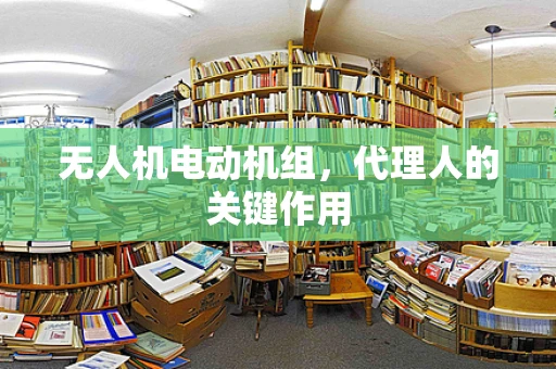 无人机电动机组，代理人的关键作用