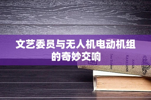文艺委员与无人机电动机组的奇妙交响