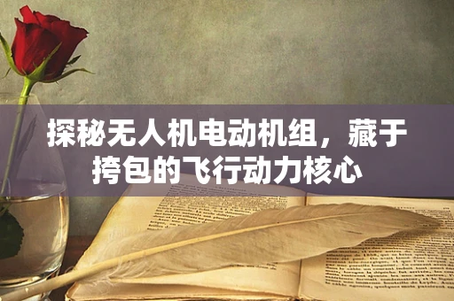 探秘无人机电动机组，藏于挎包的飞行动力核心