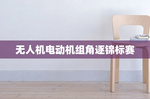 无人机电动机组角逐锦标赛