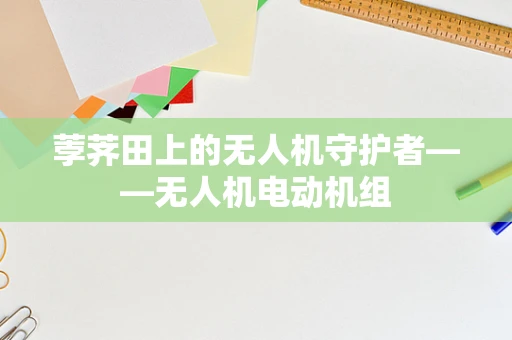 荸荠田上的无人机守护者——无人机电动机组
