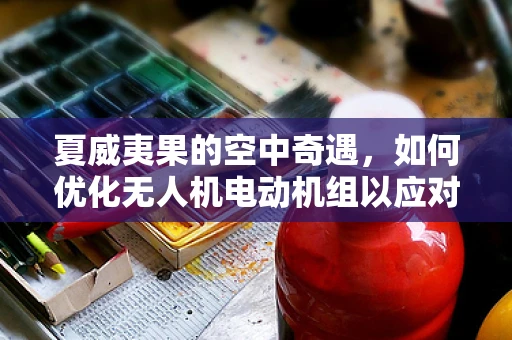 夏威夷果的空中奇遇，如何优化无人机电动机组以应对坚果挑战？