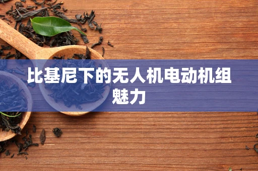 比基尼下的无人机电动机组魅力