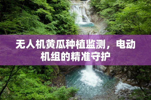 无人机黄瓜种植监测，电动机组的精准守护