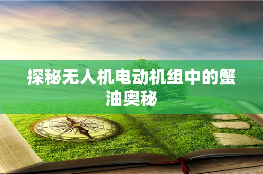 探秘无人机电动机组中的蟹油奥秘