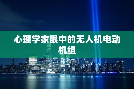 心理学家眼中的无人机电动机组