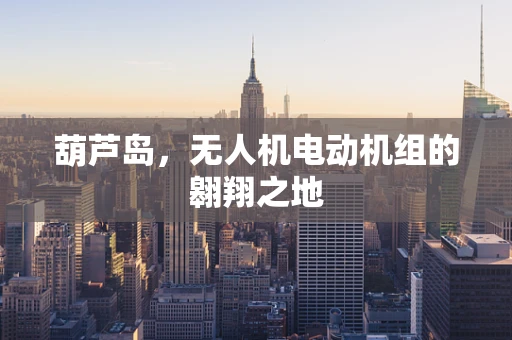 葫芦岛，无人机电动机组的翱翔之地