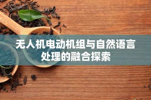 无人机电动机组与自然语言处理的融合探索