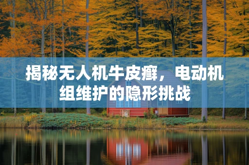 揭秘无人机牛皮癣，电动机组维护的隐形挑战