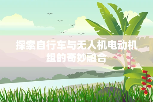 探索自行车与无人机电动机组的奇妙融合