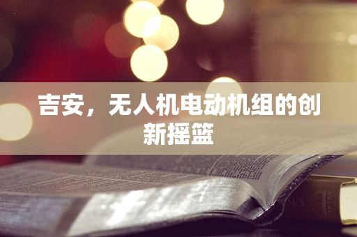 吉安，无人机电动机组的创新摇篮