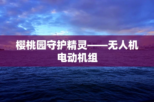 樱桃园守护精灵——无人机电动机组