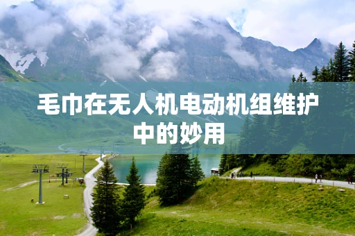 毛巾在无人机电动机组维护中的妙用
