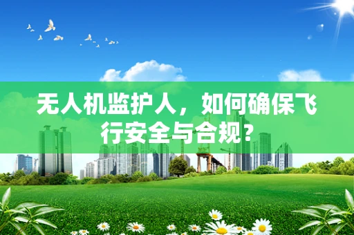 无人机监护人，如何确保飞行安全与合规？