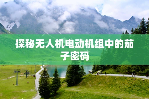 探秘无人机电动机组中的茄子密码