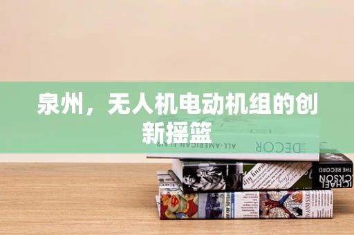 泉州，无人机电动机组的创新摇篮