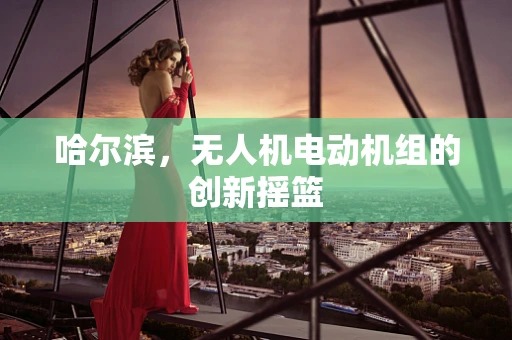 哈尔滨，无人机电动机组的创新摇篮