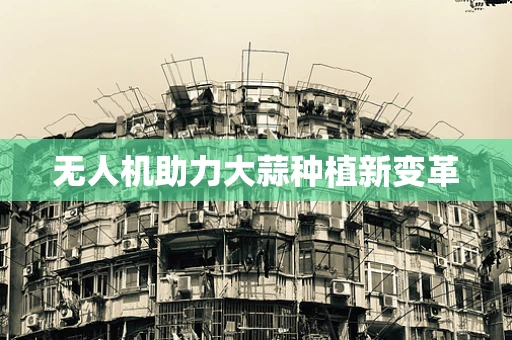 无人机助力大蒜种植新变革