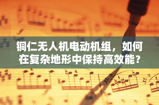 铜仁无人机电动机组，如何在复杂地形中保持高效能？