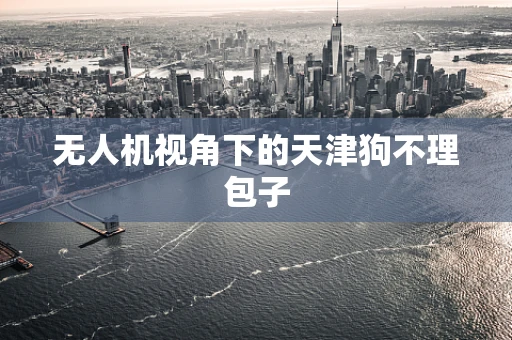 无人机视角下的天津狗不理包子