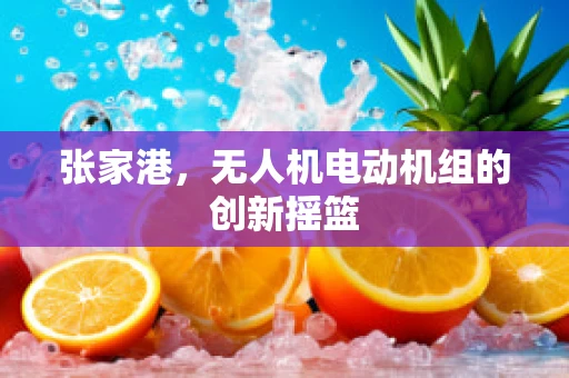 张家港，无人机电动机组的创新摇篮