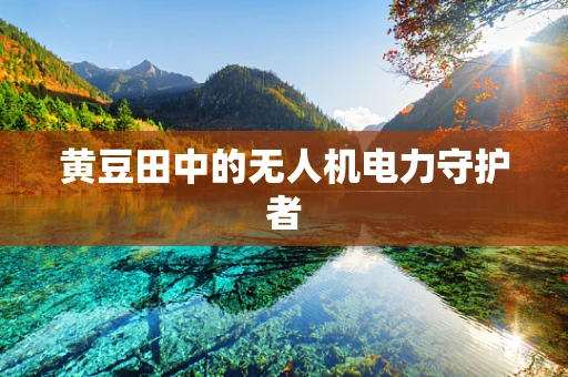 黄豆田中的无人机电力守护者