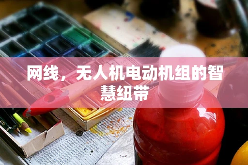 网线，无人机电动机组的智慧纽带