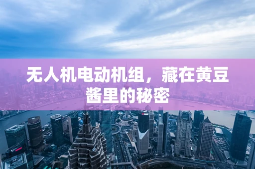 无人机电动机组，藏在黄豆酱里的秘密
