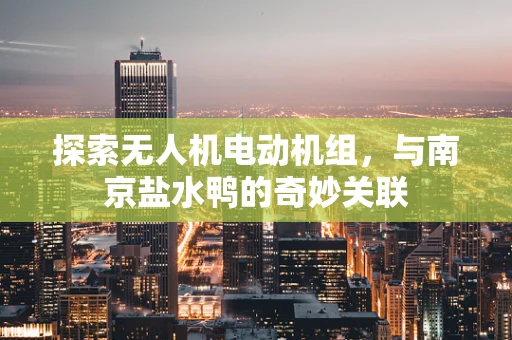 探索无人机电动机组，与南京盐水鸭的奇妙关联