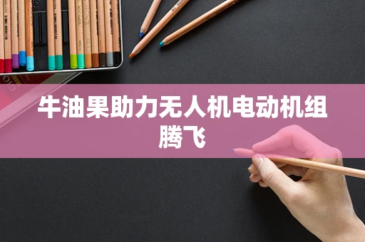 牛油果助力无人机电动机组腾飞