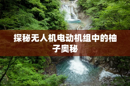 探秘无人机电动机组中的柚子奥秘