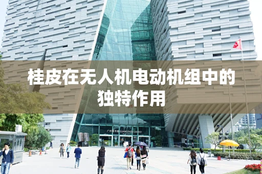 桂皮在无人机电动机组中的独特作用