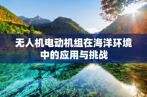 无人机电动机组在海洋环境中的应用与挑战