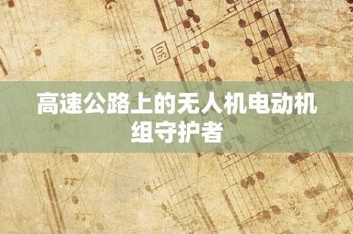 高速公路上的无人机电动机组守护者