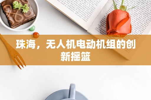 珠海，无人机电动机组的创新摇篮