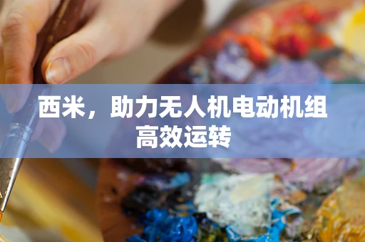 西米，助力无人机电动机组高效运转