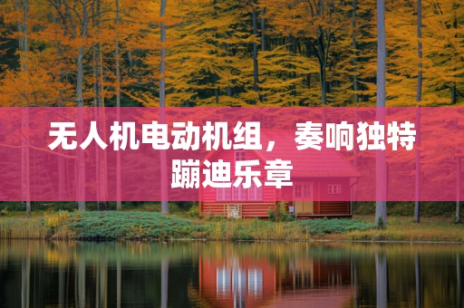 无人机电动机组，奏响独特蹦迪乐章