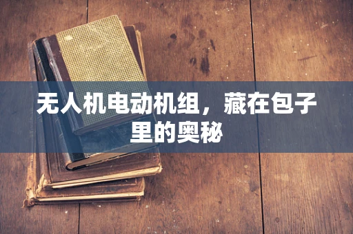 无人机电动机组，藏在包子里的奥秘