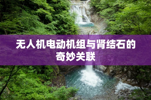 无人机电动机组与肾结石的奇妙关联