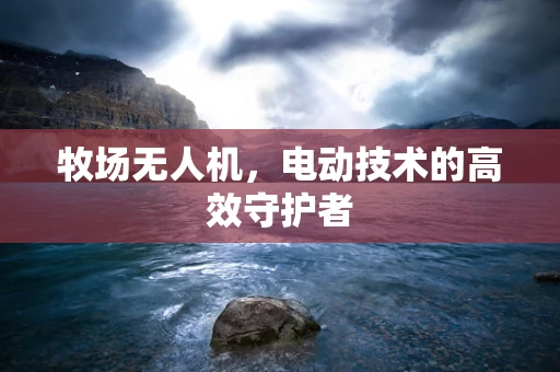 牧场无人机，电动技术的高效守护者