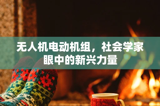 无人机电动机组，社会学家眼中的新兴力量
