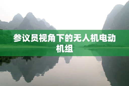 参议员视角下的无人机电动机组