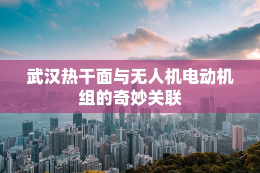 武汉热干面与无人机电动机组的奇妙关联
