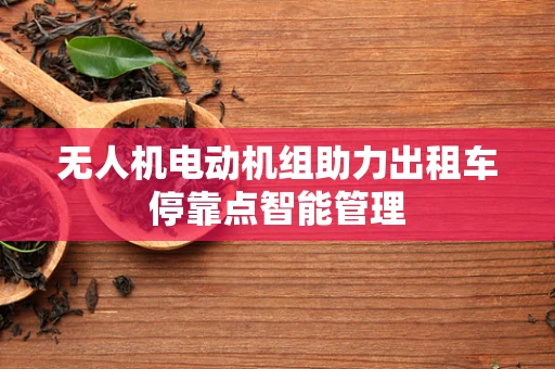 无人机电动机组助力出租车停靠点智能管理
