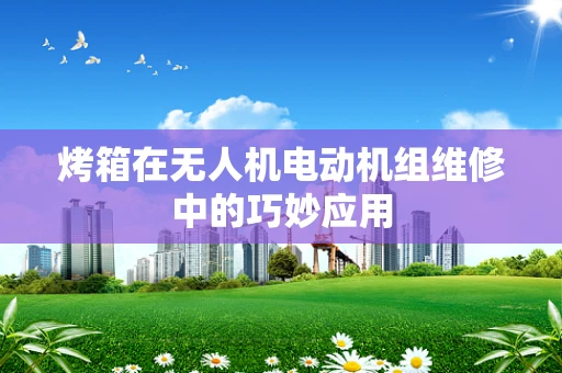 烤箱在无人机电动机组维修中的巧妙应用